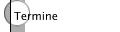 Termine
