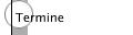 Termine